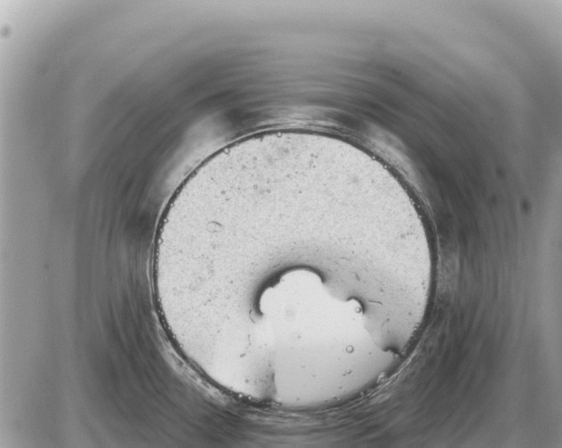 X0000087551338200705041318