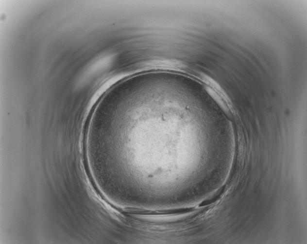 X0000087551339200705041318