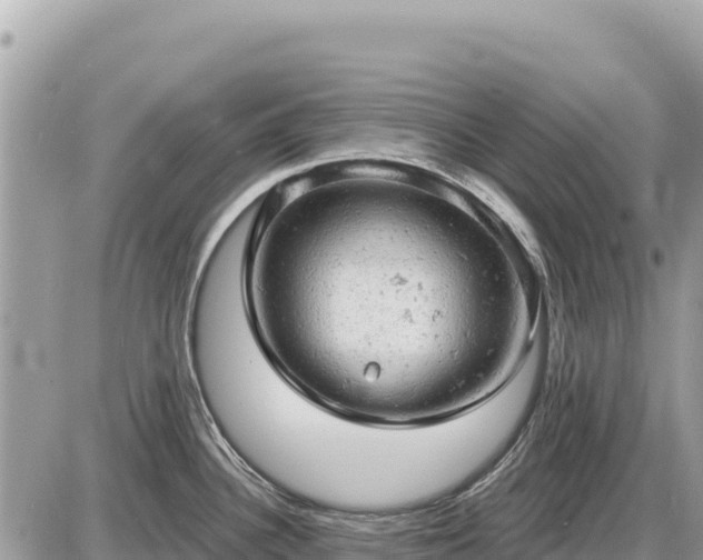 X0000087551340200705041318