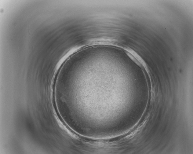 X0000087551341200705041318