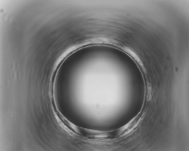 X0000087551342200705041318