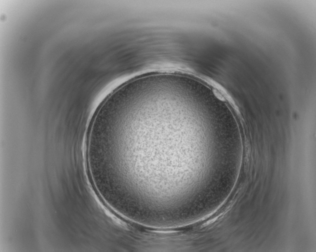 X0000087551343200705041318