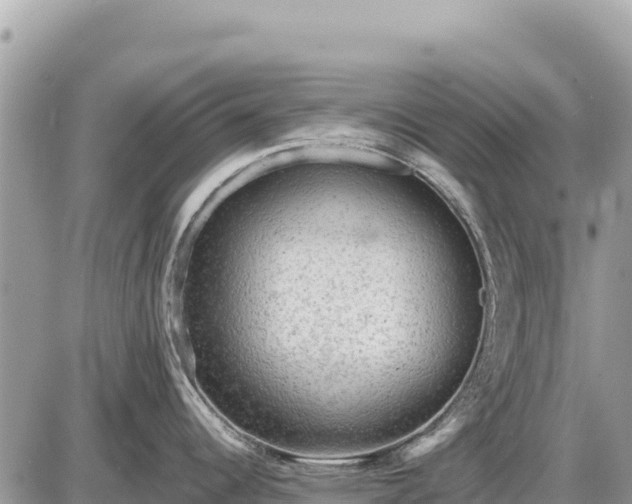 X0000087551344200705041318