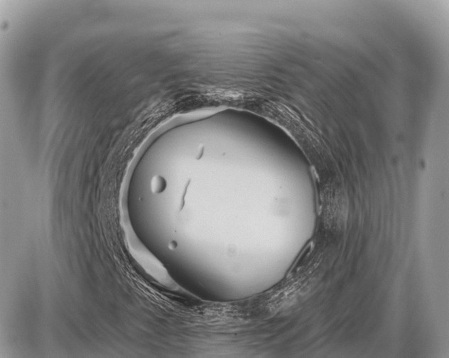 X0000087551345200705041317