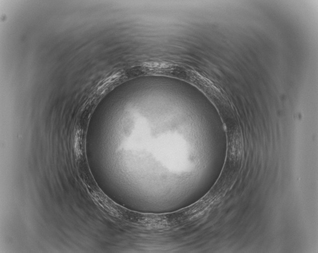 X0000087551346200705041317