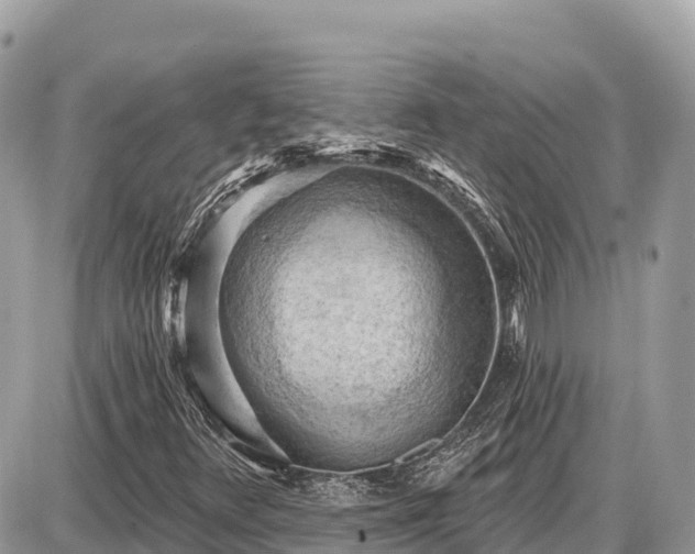 X0000087551348200705041317