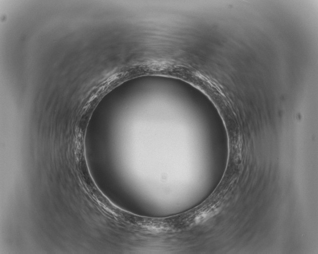 X0000087551349200705041317