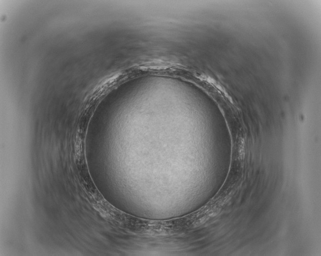 X0000087551350200705041317