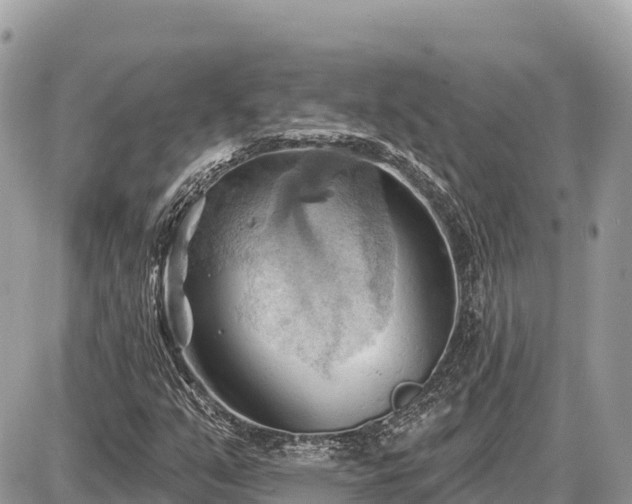 X0000087551351200705041317