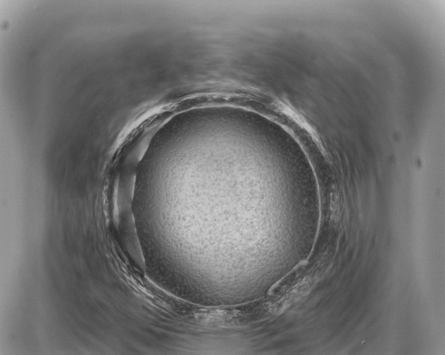 X0000087551352200705041317