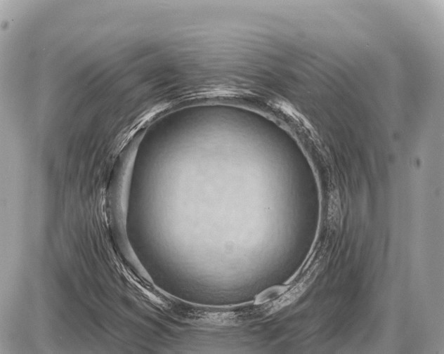 X0000087551353200705041317