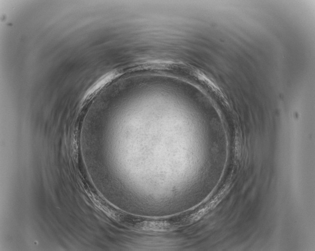 X0000087551354200705041317