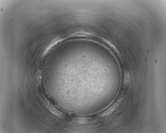 X0000087551355200705041317