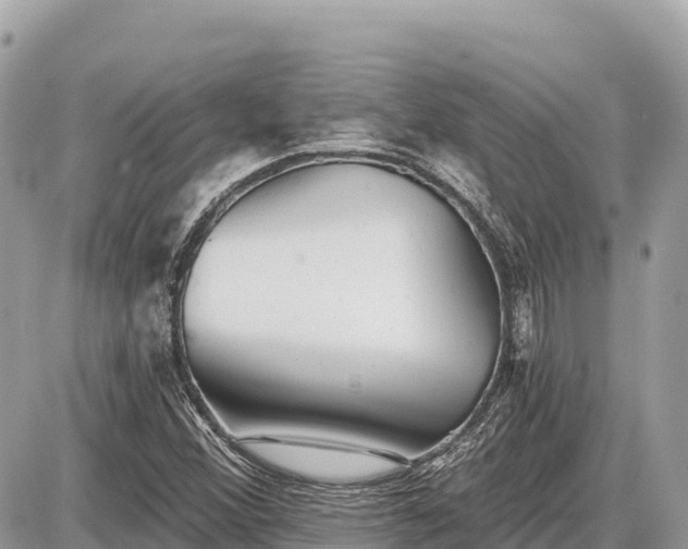 X0000087551356200705041317