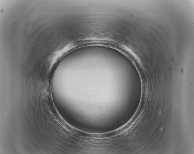 X0000087551357200705041317