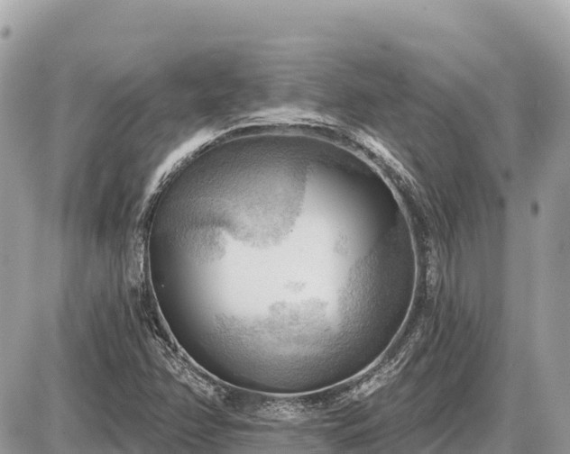 X0000087551358200705041317