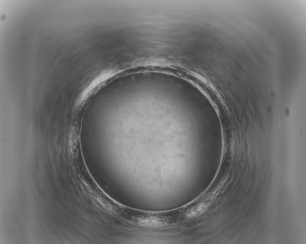 X0000087551359200705041317