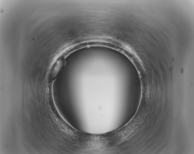 X0000087551360200705041317