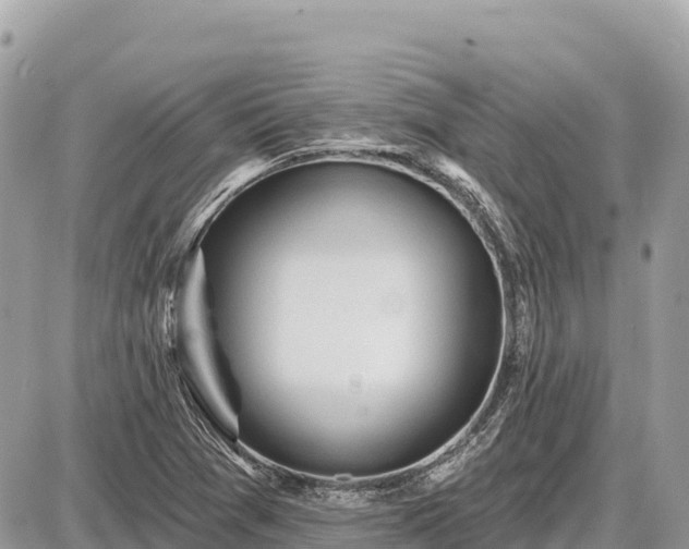 X0000087551361200705041317