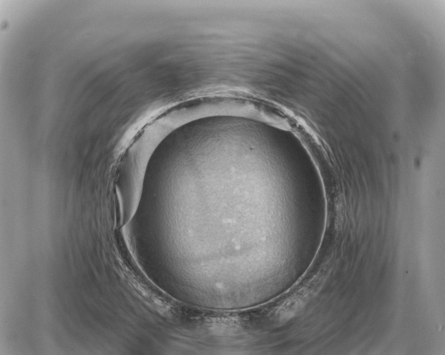 X0000087551363200705041317