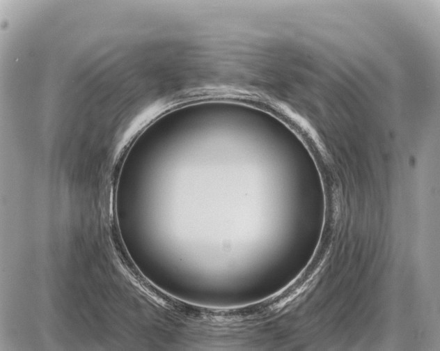 X0000087551365200705041317