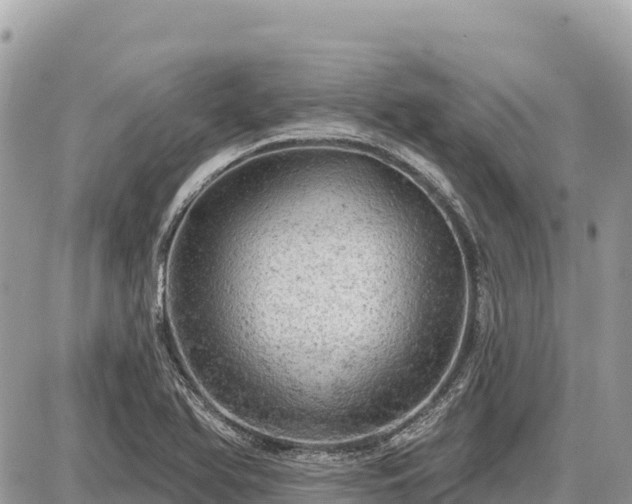 X0000087551366200705041317