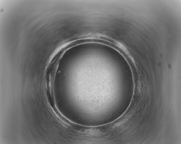 X0000087551368200705041317