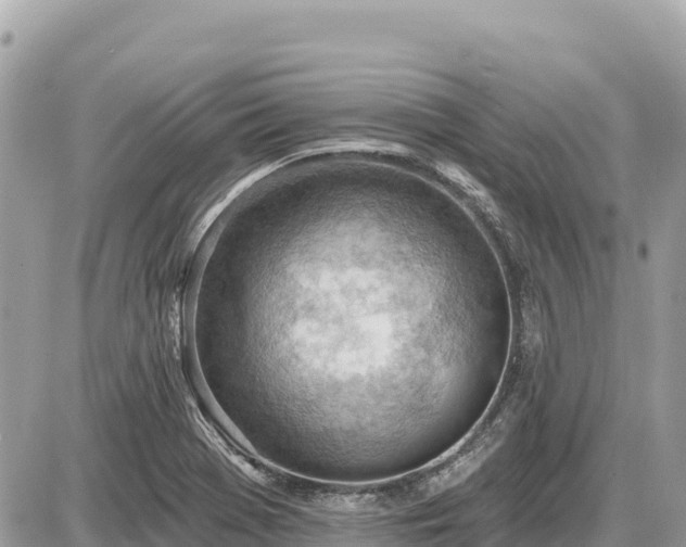 X0000087551369200705041317