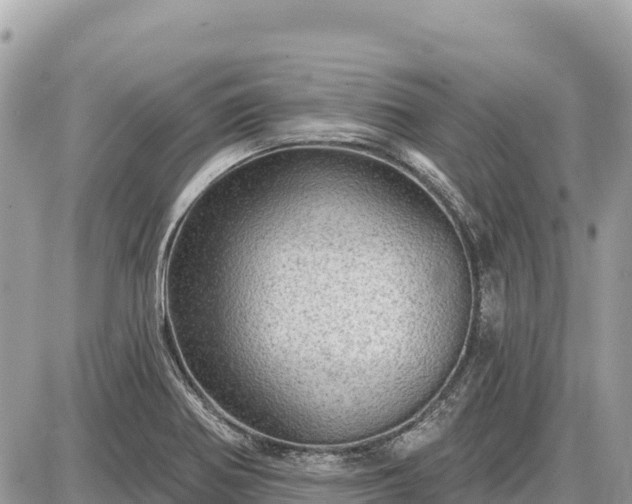 X0000087551370200705041317