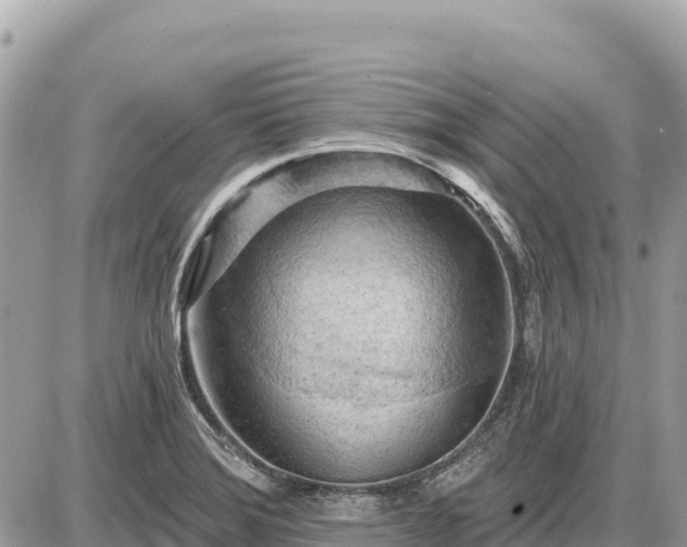 X0000087551372200705041317