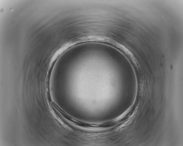 X0000087551373200705041317