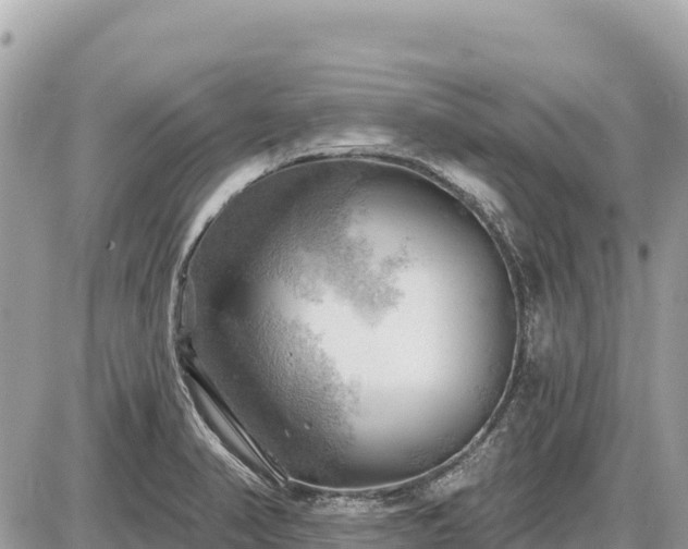 X0000087551374200705041317