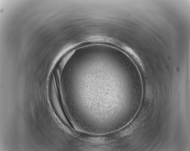 X0000087551376200705041317