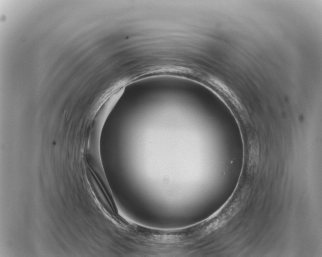 X0000087551377200705041317