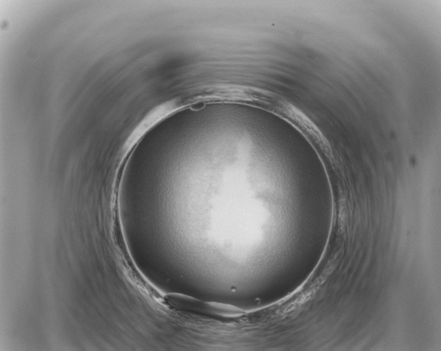 X0000087551378200705041317