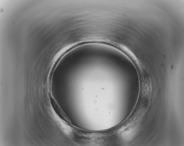 X0000087551380200705041317