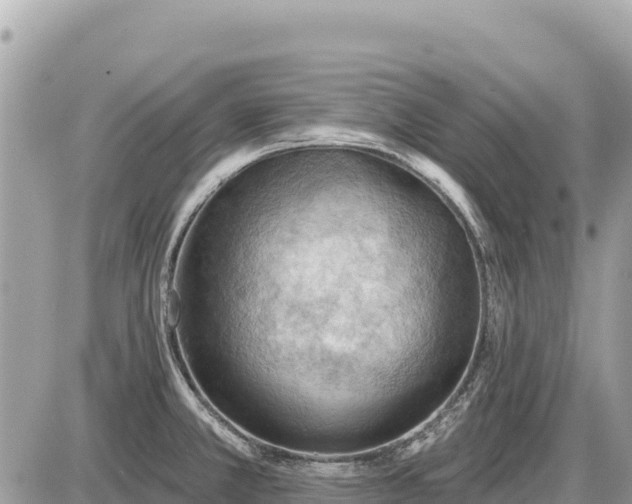 X0000087551381200705041317