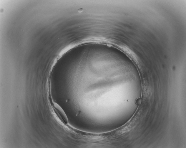 X0000087551382200705041317