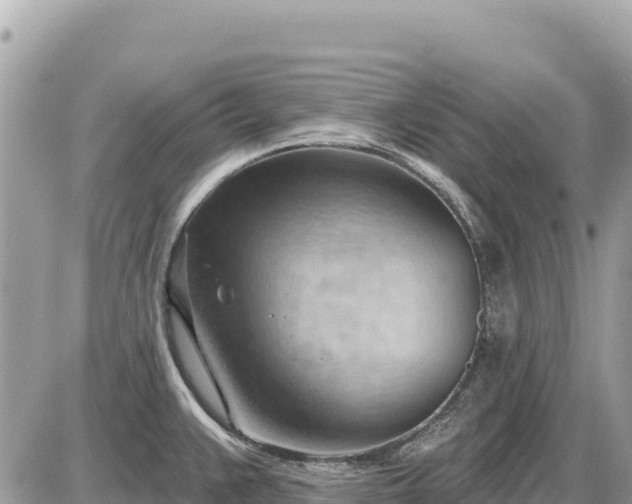 X0000087551383200705041317