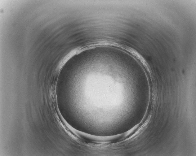 X0000087551385200705041317