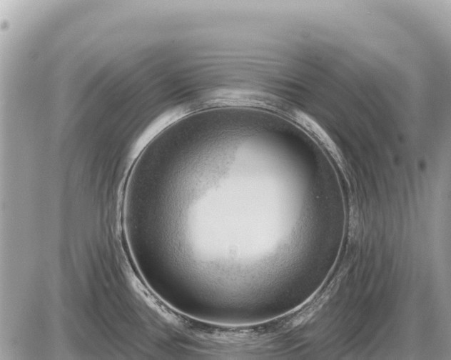 X0000087551386200705041317