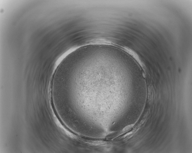 X0000087551387200705041317