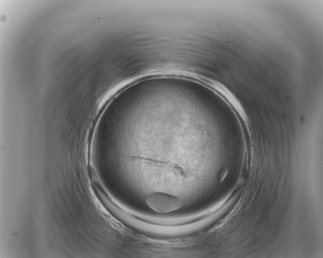 X0000087551388200705041317