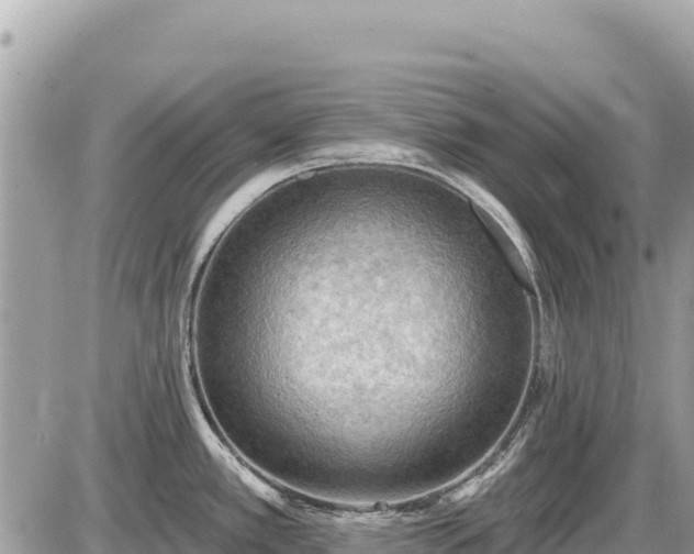 X0000087551389200705041317