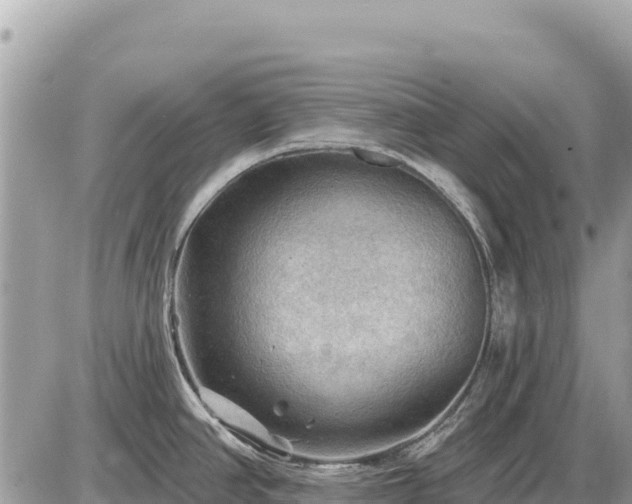 X0000087551390200705041317