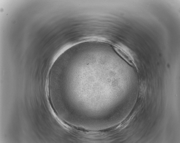 X0000087551391200705041317