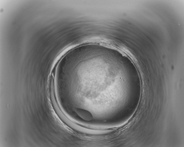 X0000087551392200705041317