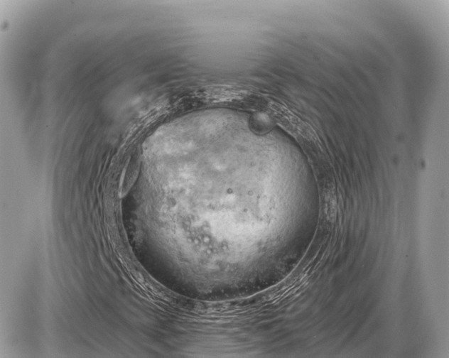 X0000087551393200705041316