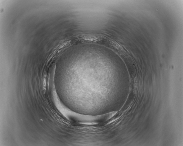 X0000087551394200705041316