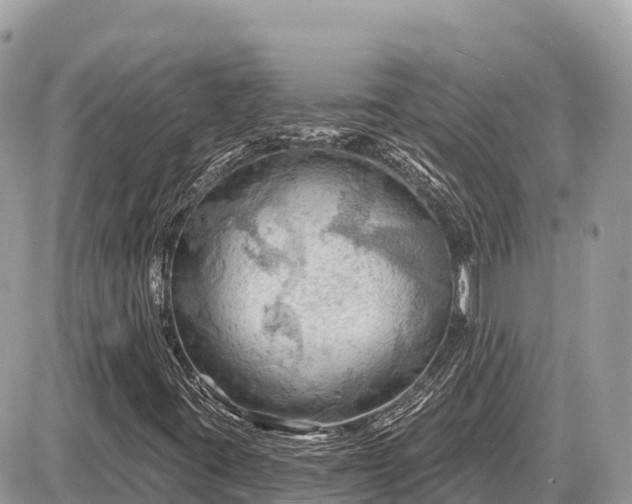 X0000087551395200705041316